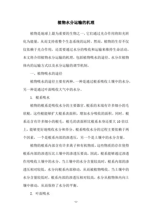 植物水分运输的机理