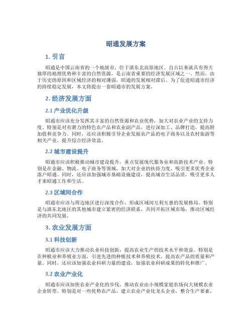 昭通发展方案