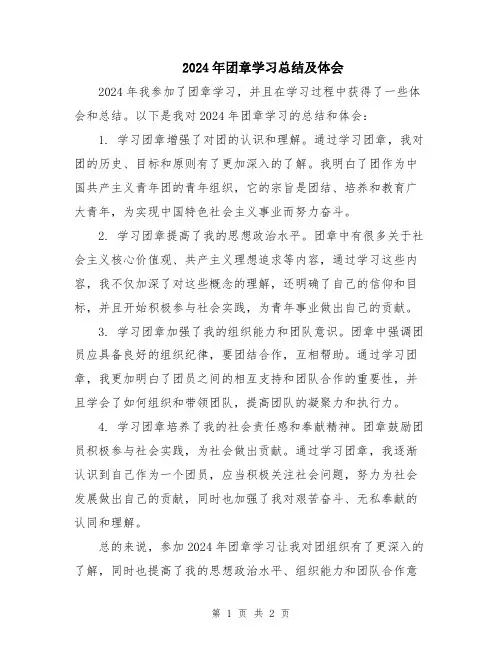 2024年团章学习总结及体会