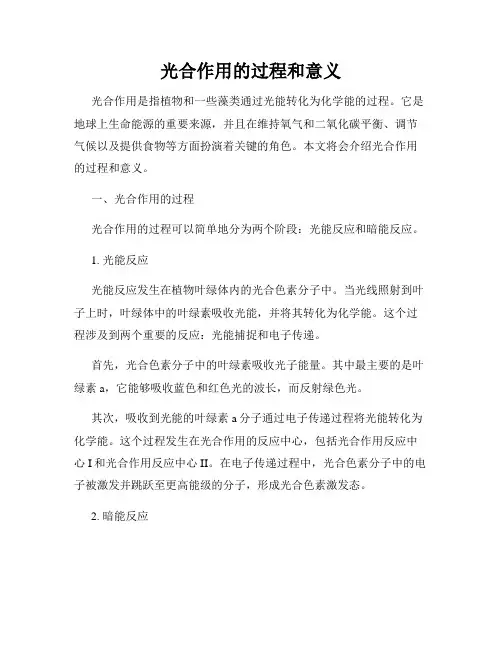 光合作用的过程和意义