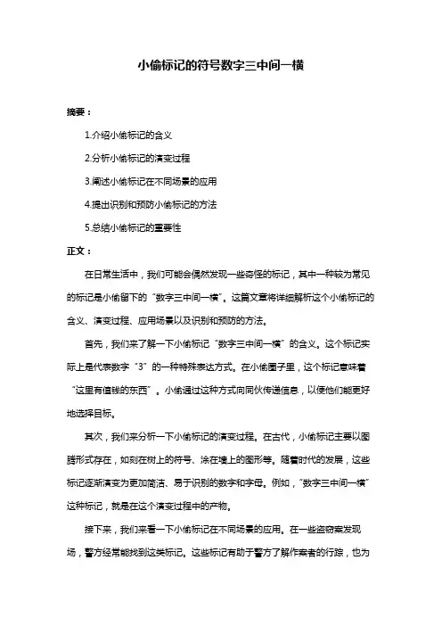 小偷标记的符号数字三中间一横