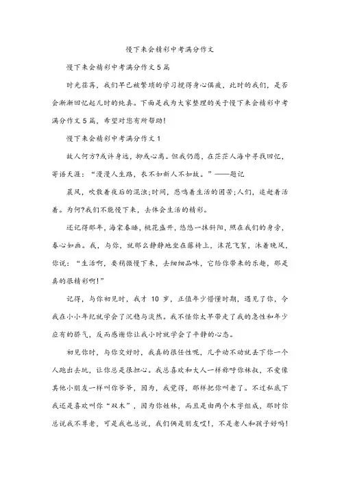 慢下来会精彩中考满分作文