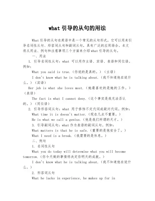 what引导的从句的用法