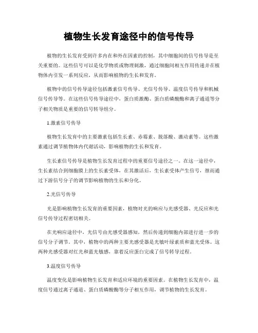 植物生长发育途径中的信号传导