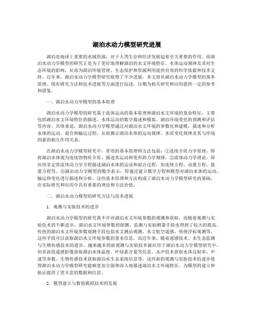 湖泊水动力模型研究进展