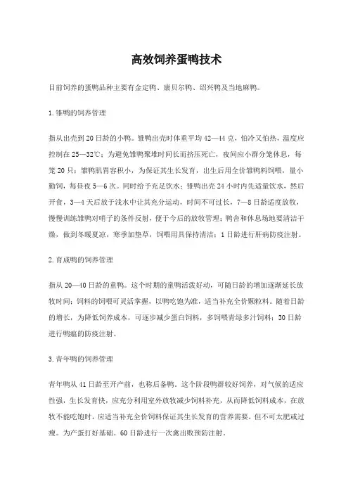 高效饲养蛋鸭技术