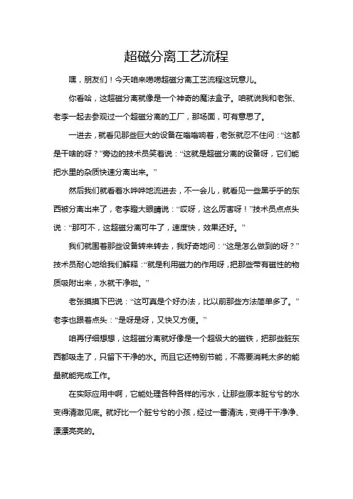 超磁分离工艺流程