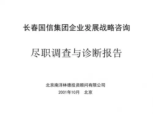 尽职调查与诊断报告
