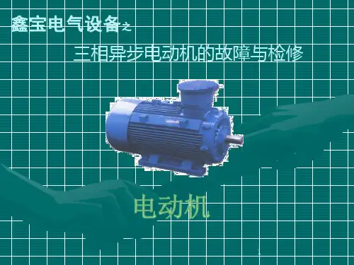 三相异步电动机常见故障与检修ppt课件