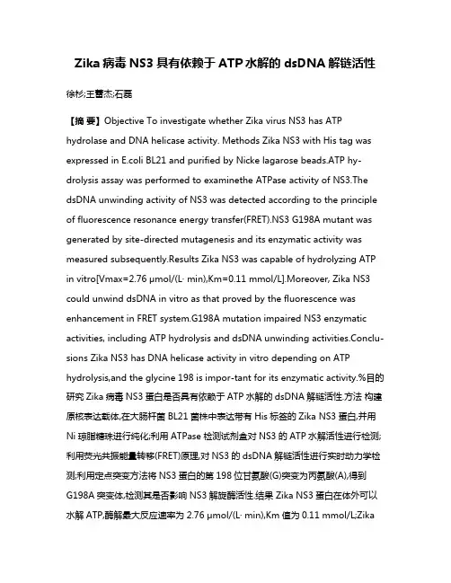 Zika病毒NS3具有依赖于ATP水解的dsDNA解链活性