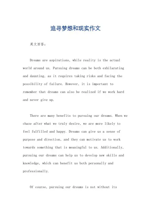 追寻梦想和现实作文