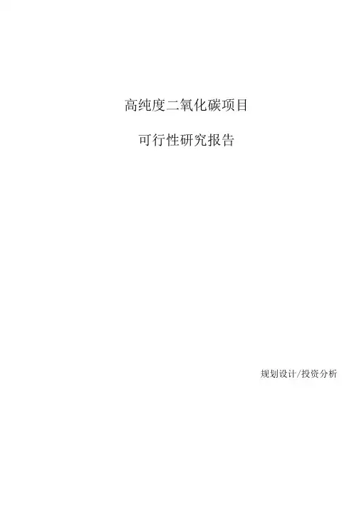 高纯度二氧化碳项目可行性研究报告参考模板.docx