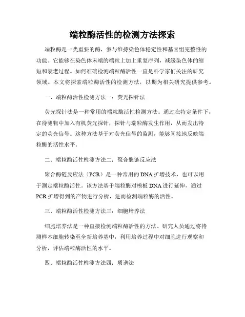端粒酶活性的检测方法探索