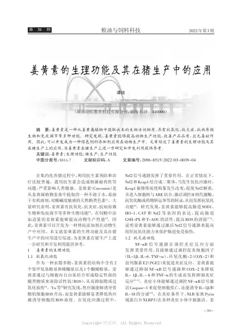 姜黄素的生理功能及其在猪生产中的应用