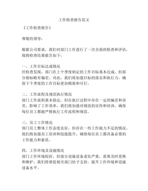 工作检查报告范文