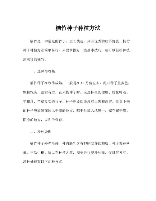 楠竹种子种植方法