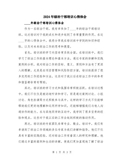 2024年综治干部培训心得体会
