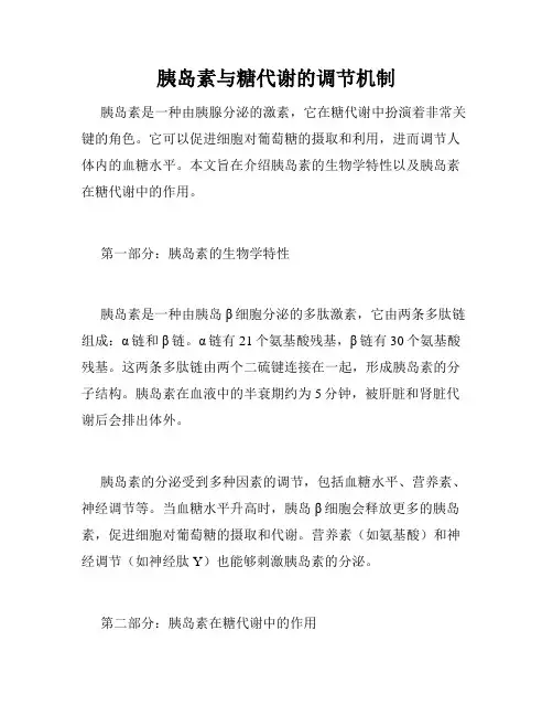 胰岛素与糖代谢的调节机制