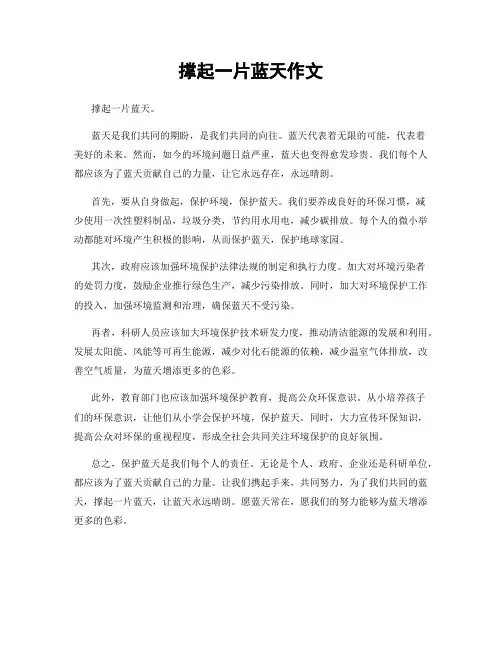 撑起一片蓝天作文