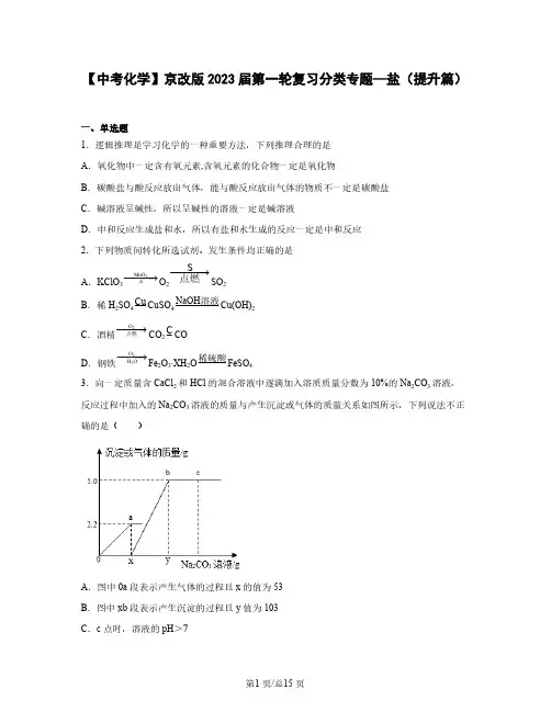 【中考化学】京改版2023届第一轮复习分类专题—盐(提升篇)含解析