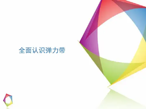 全面认识弹力带