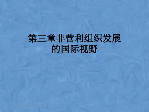 第三章非营利组织发展的国际视野