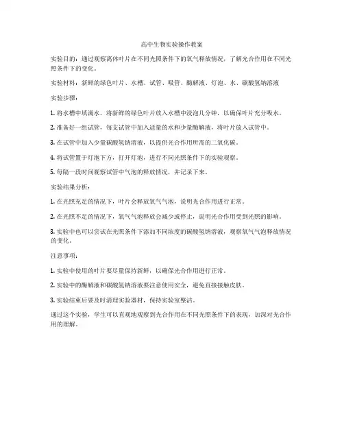 高中生物实验操作教案