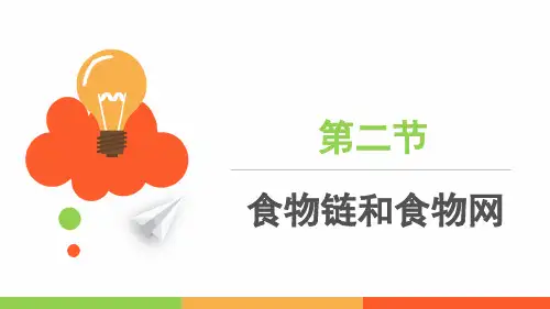 食物链和食物网课件2023--2024学年济南版生物八年级下+册