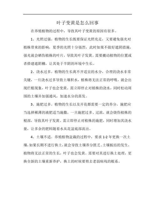 叶子变黄是怎么回事