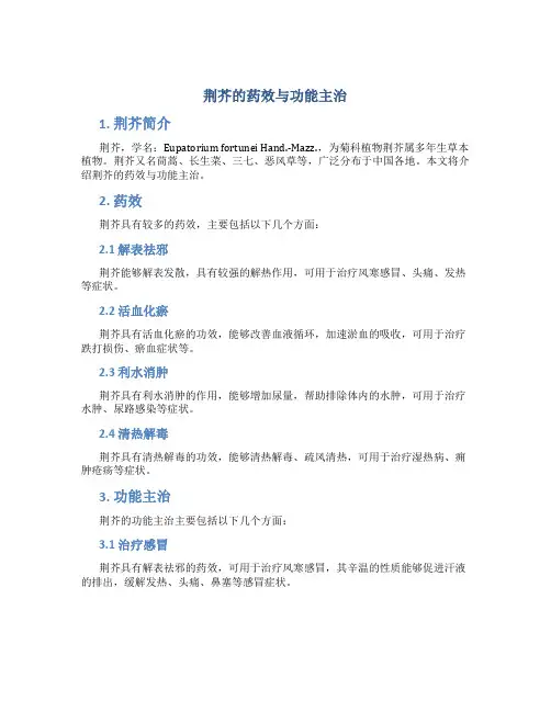 荆芥的药效与功能主治