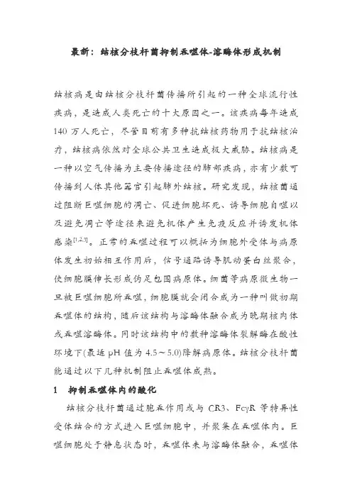 最新：结核分枝杆菌抑制吞噬体-溶酶体形成机制