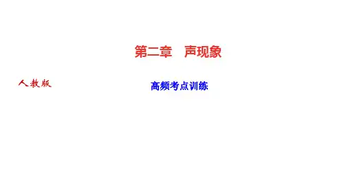 人教版八年级物理上册作业课件 第二章 声现象 高频考点训练