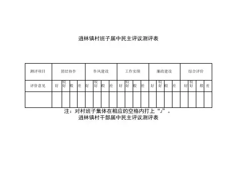 逍林镇村班子届中民主评议测评表