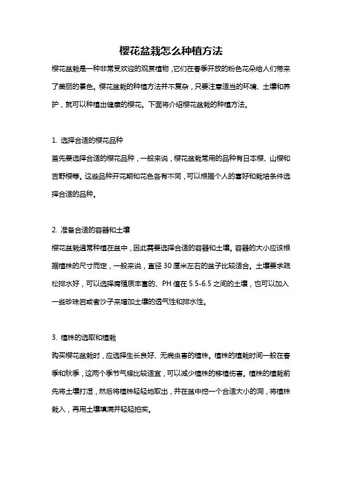 樱花盆栽怎么种植方法
