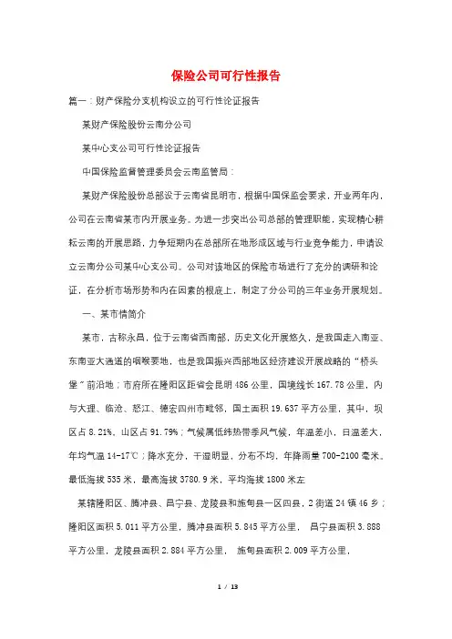 保险公司可行性报告
