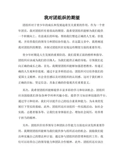 我对团组织的期望