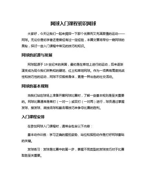 网球入门课程初识网球