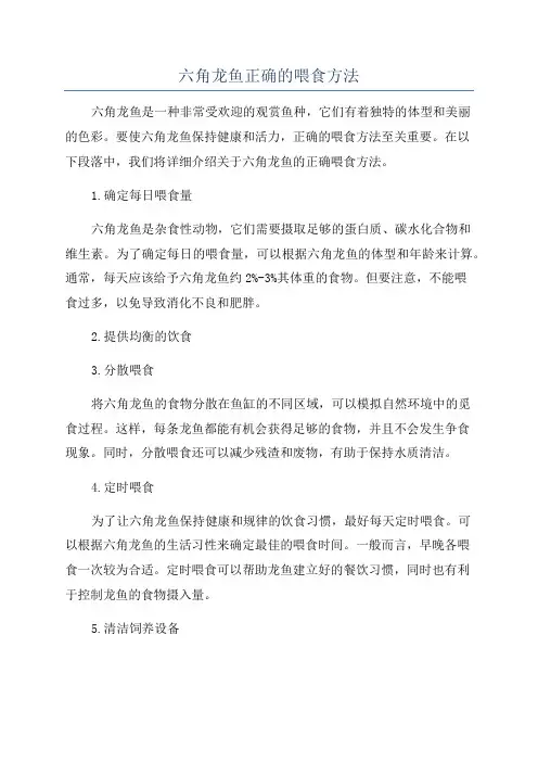 六角龙鱼正确的喂食方法