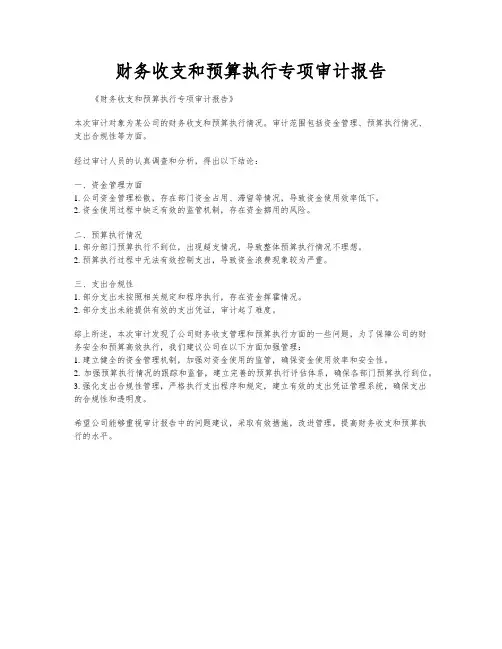 财务收支和预算执行专项审计报告