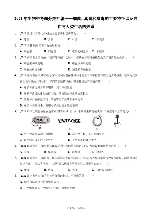 2021年生物中考题分类汇编——细菌、真菌和病毒的主要特征以及它们与人类生活的关系