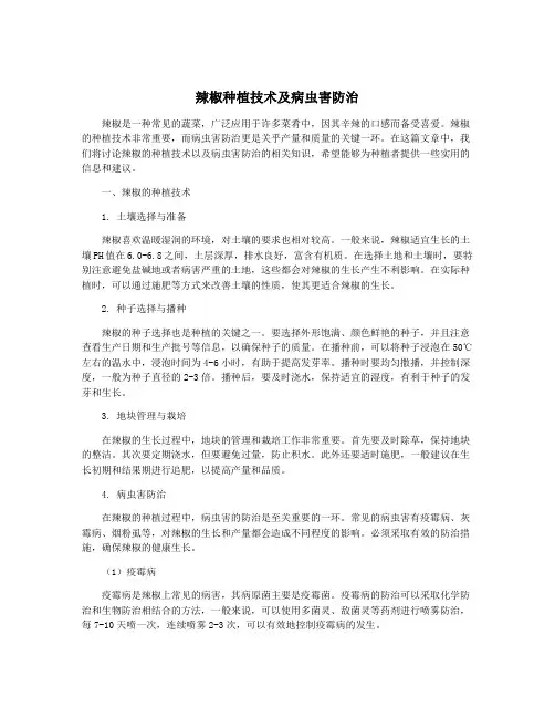 辣椒种植技术及病虫害防治