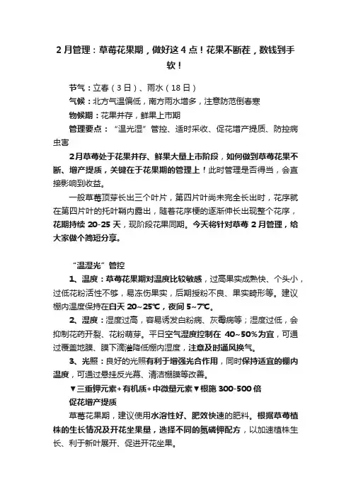 2月管理：草莓花果期，做好这4点！花果不断茬，数钱到手软！