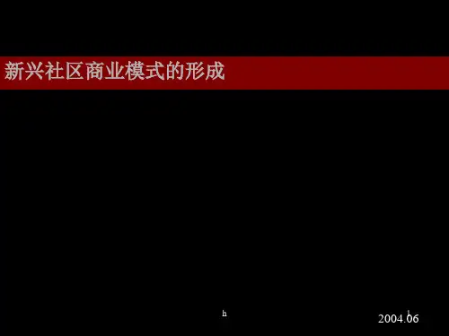 《新兴社区商业研究》PPT课件