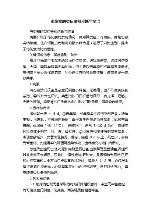 鸡伤寒的类症鉴别诊断与防治