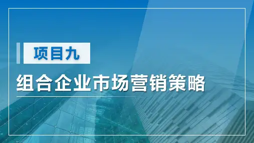 现代企业管理：组合营销策略