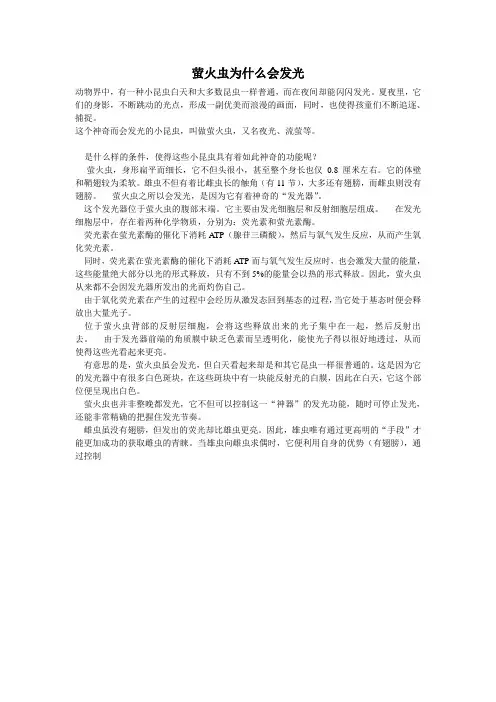 萤火虫为什么会发光