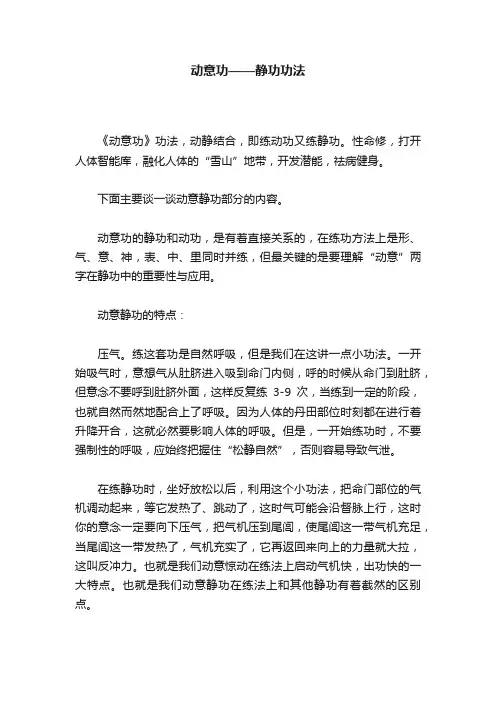 动意功——静功功法