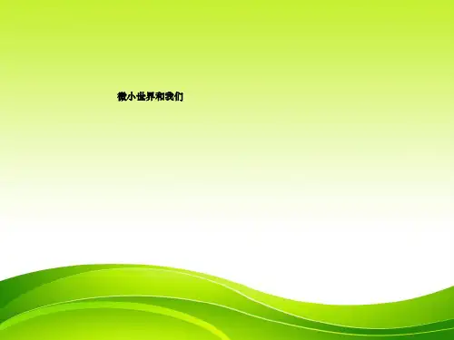 微小世界和我们ppt