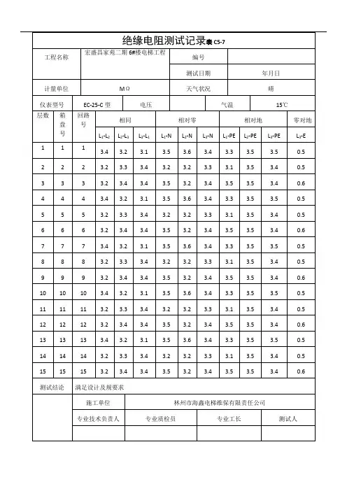 电梯绝缘电阻测试记录文稿表