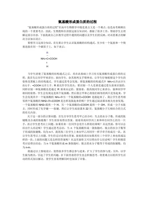 氨基酸形成蛋白质的过程